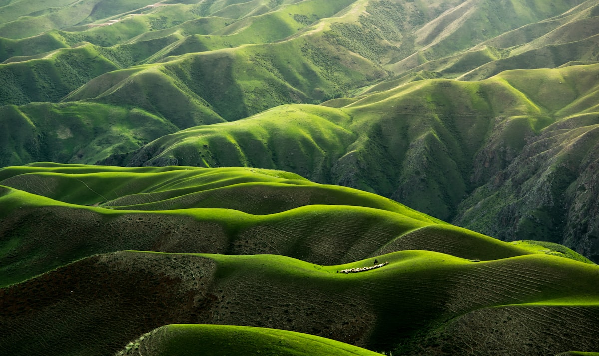 中国の自然・四季の風景・二十四節気